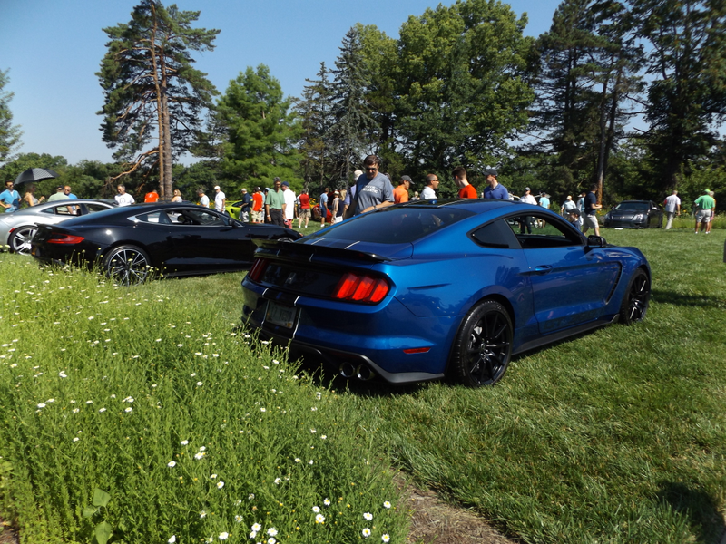 Illustration for article titled Ault Park Concours 2017